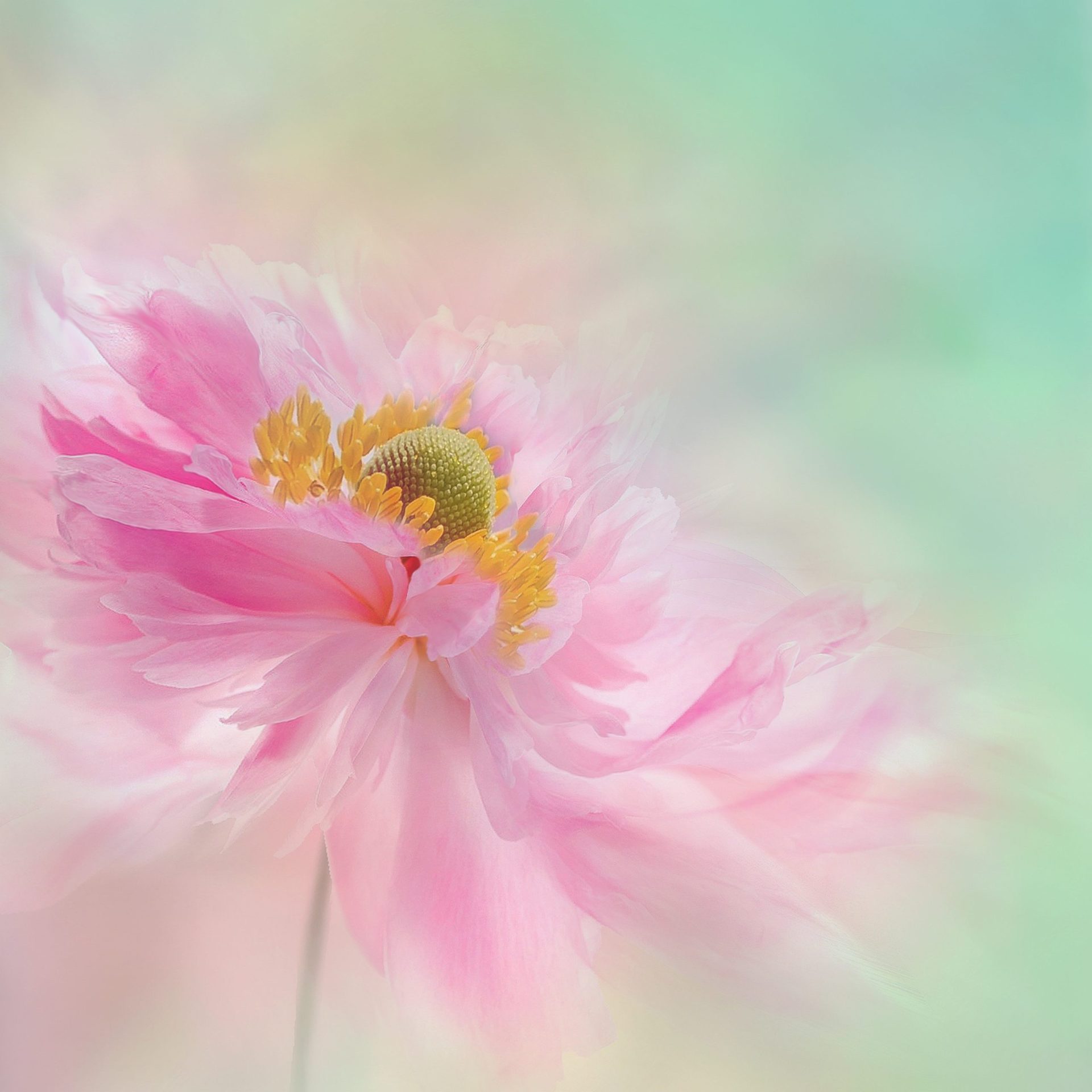 感受当下,用阿卡西解读内心想法