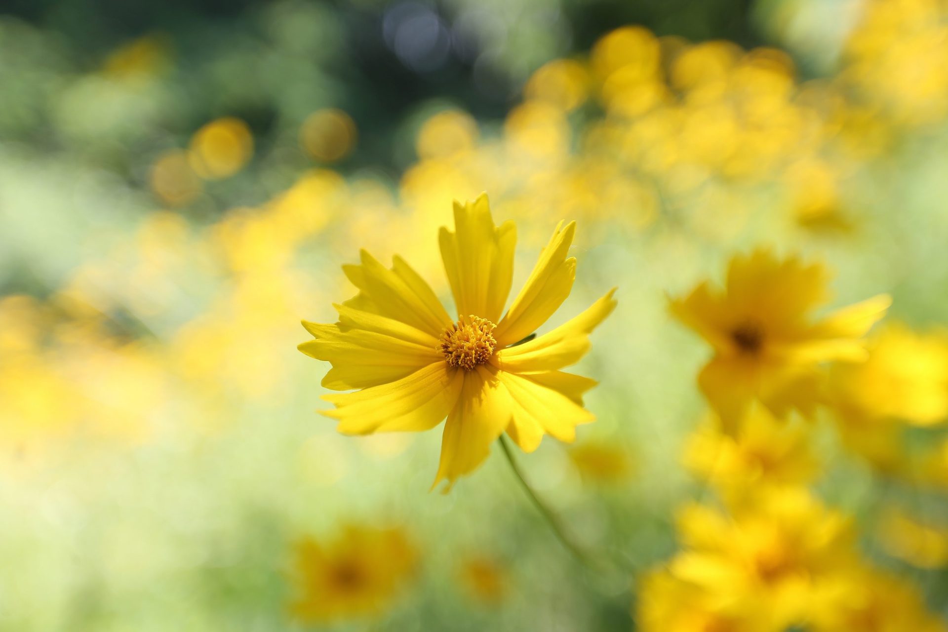 如何提升能量🎵