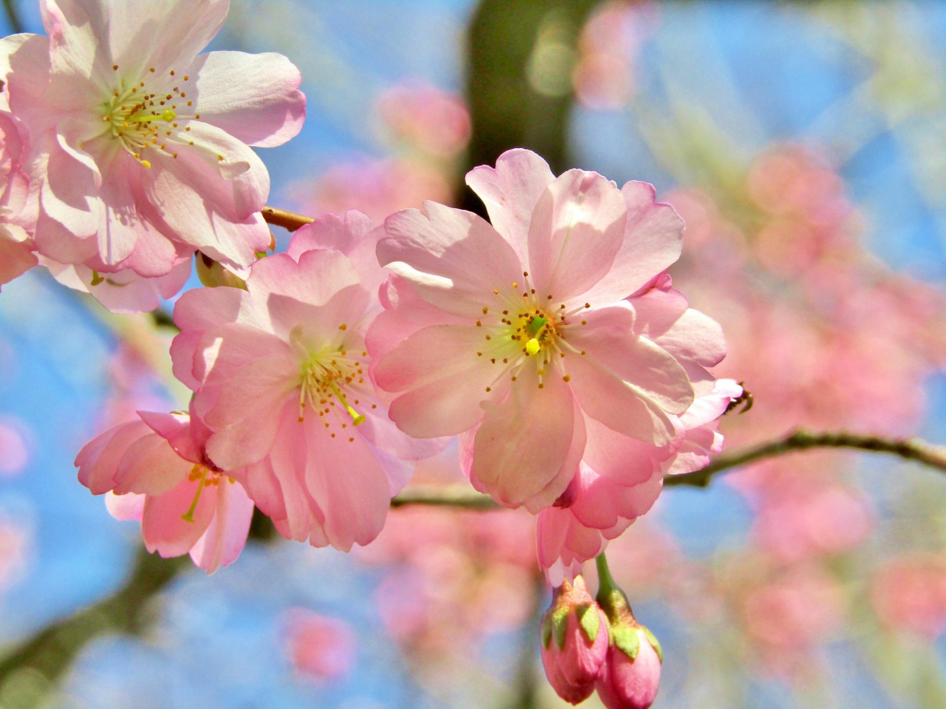 思念前任及分手的实相