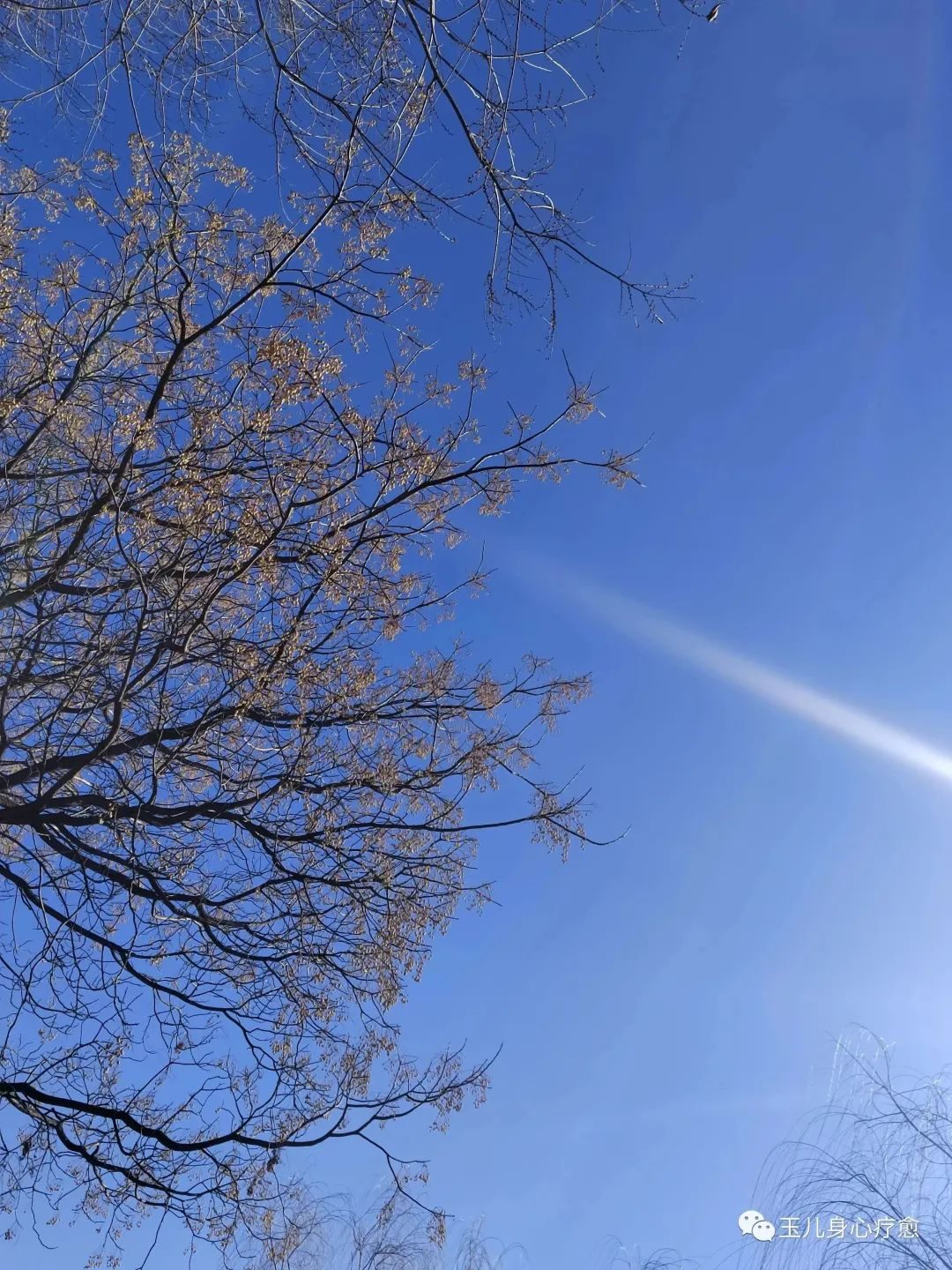 情感篇·业力关系